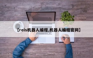 【reis机器人编程,机器人编程官网】