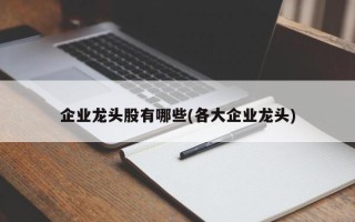 企业龙头股有哪些(各大企业龙头)