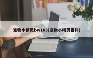 宠物小精灵bw103(宠物小精灵百科)