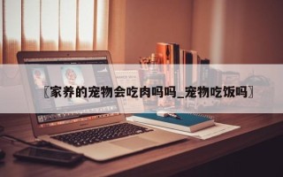 〖家养的宠物会吃肉吗吗_宠物吃饭吗〗