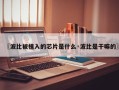 〖波比被植入的芯片是什么·波比是干嘛的〗